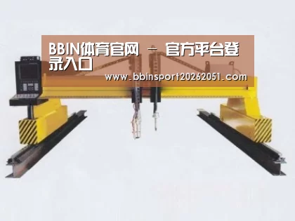 产品名称十七