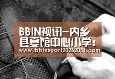 BBIN视讯-内乡县夏馆中心小学:云上班会课,育人不停歇(图2) BBIN捕鱼