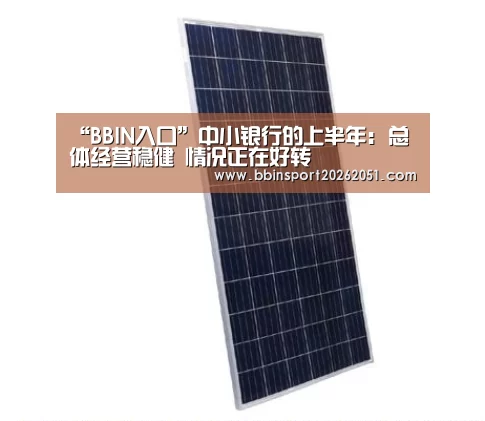 “BBIN入口”中小银行的上半年: 总体经营稳健 情况正在好转(图4) BBIN视讯