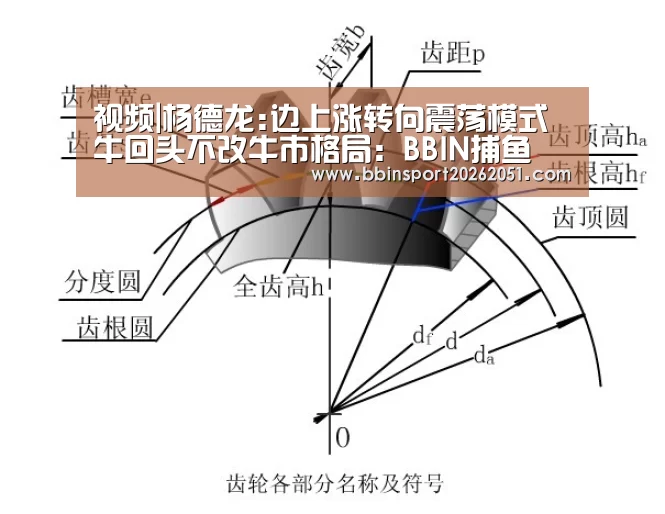 视频|杨德龙:边上涨转向震荡模式 牛回头不改牛市格局:BBIN捕鱼(图2) BBIN视讯