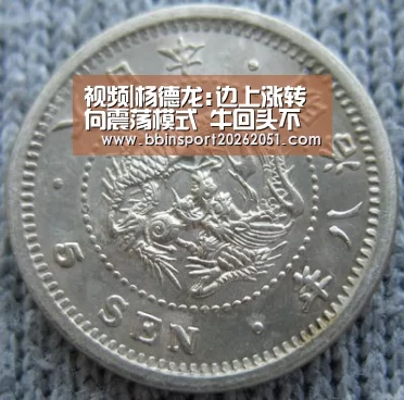 视频|杨德龙:边上涨转向震荡模式 牛回头不改牛市格局:BBIN捕鱼(图3) BBIN入口