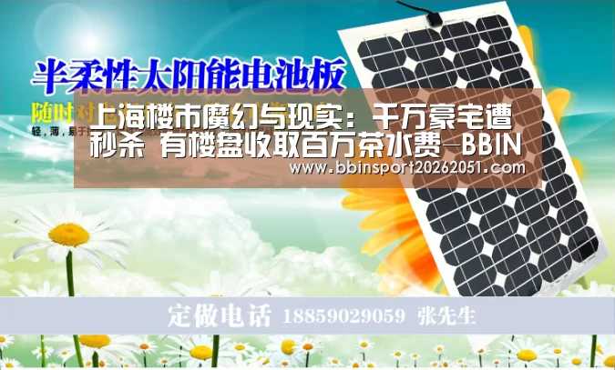 上海楼市魔幻与现实:千万豪宅遭秒杀 有楼盘收取百万茶水费-BBIN视讯(图3) BBIN娱乐城