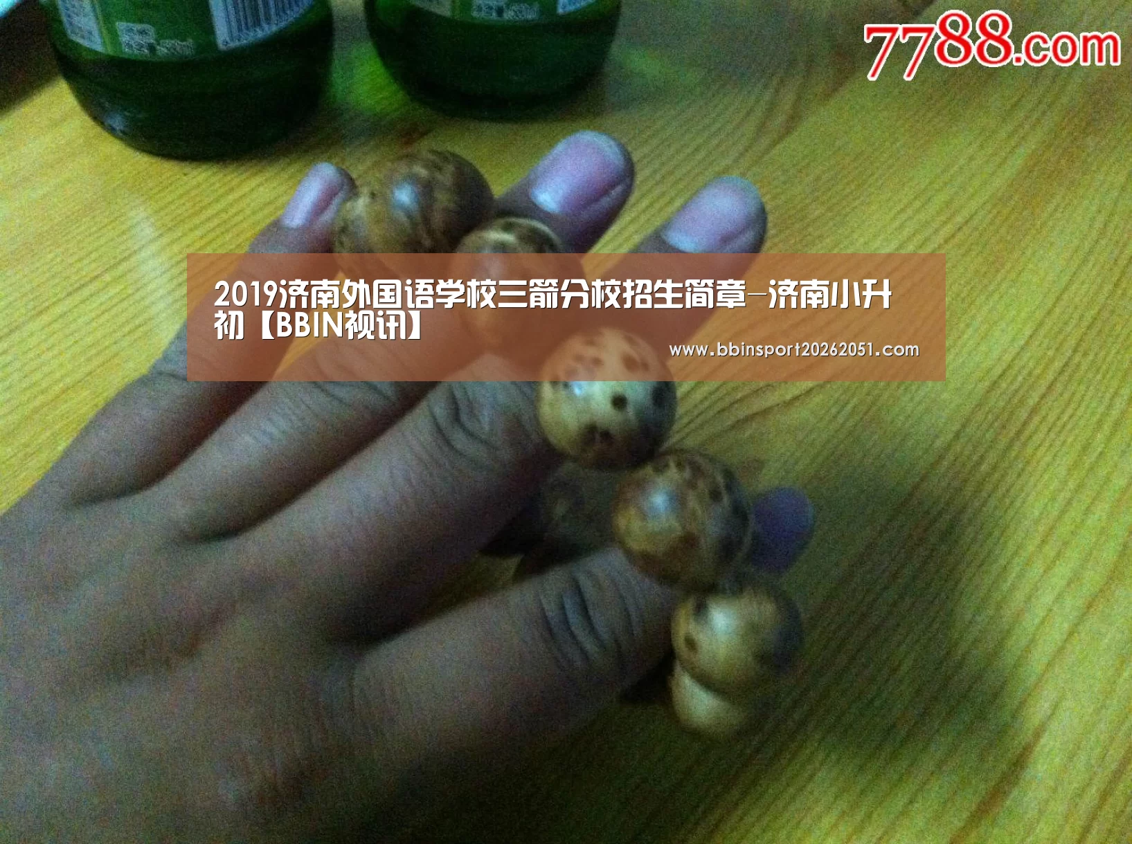 BBIN捕鱼
